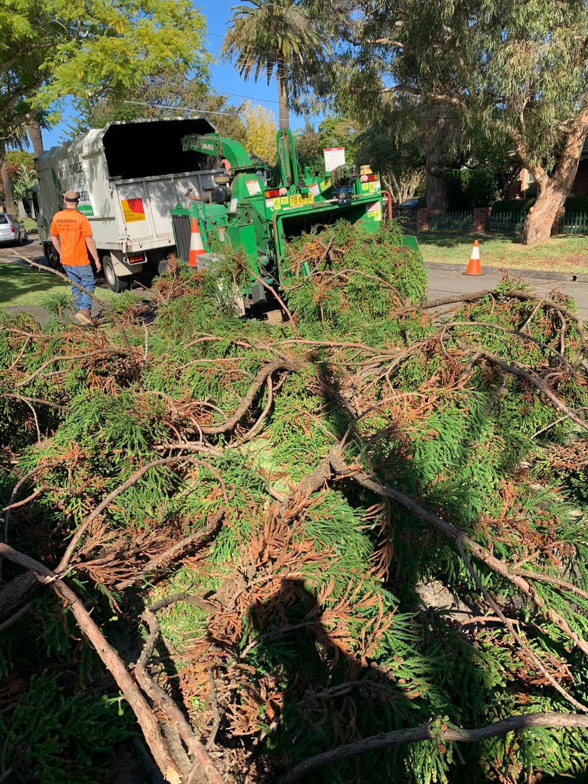 Our team working on a tree service project