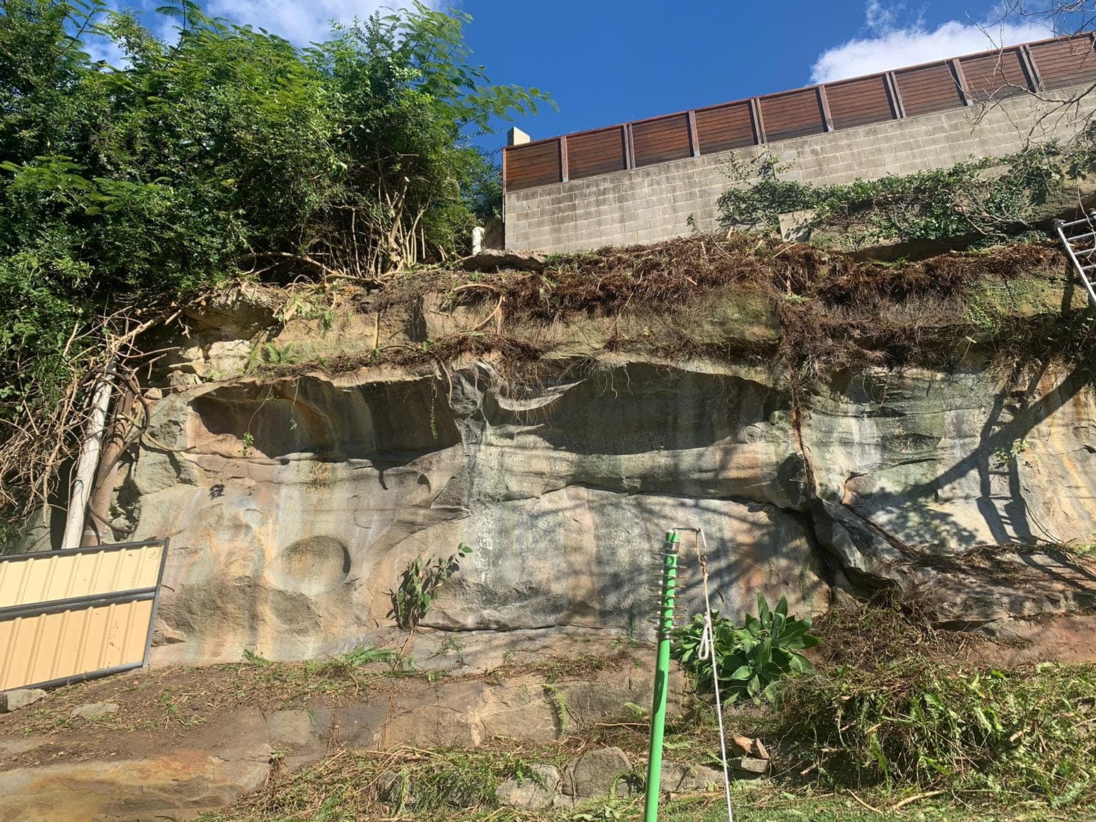 Overgrowth cleared from a steep sandstone embankment below a Beacon Hill property