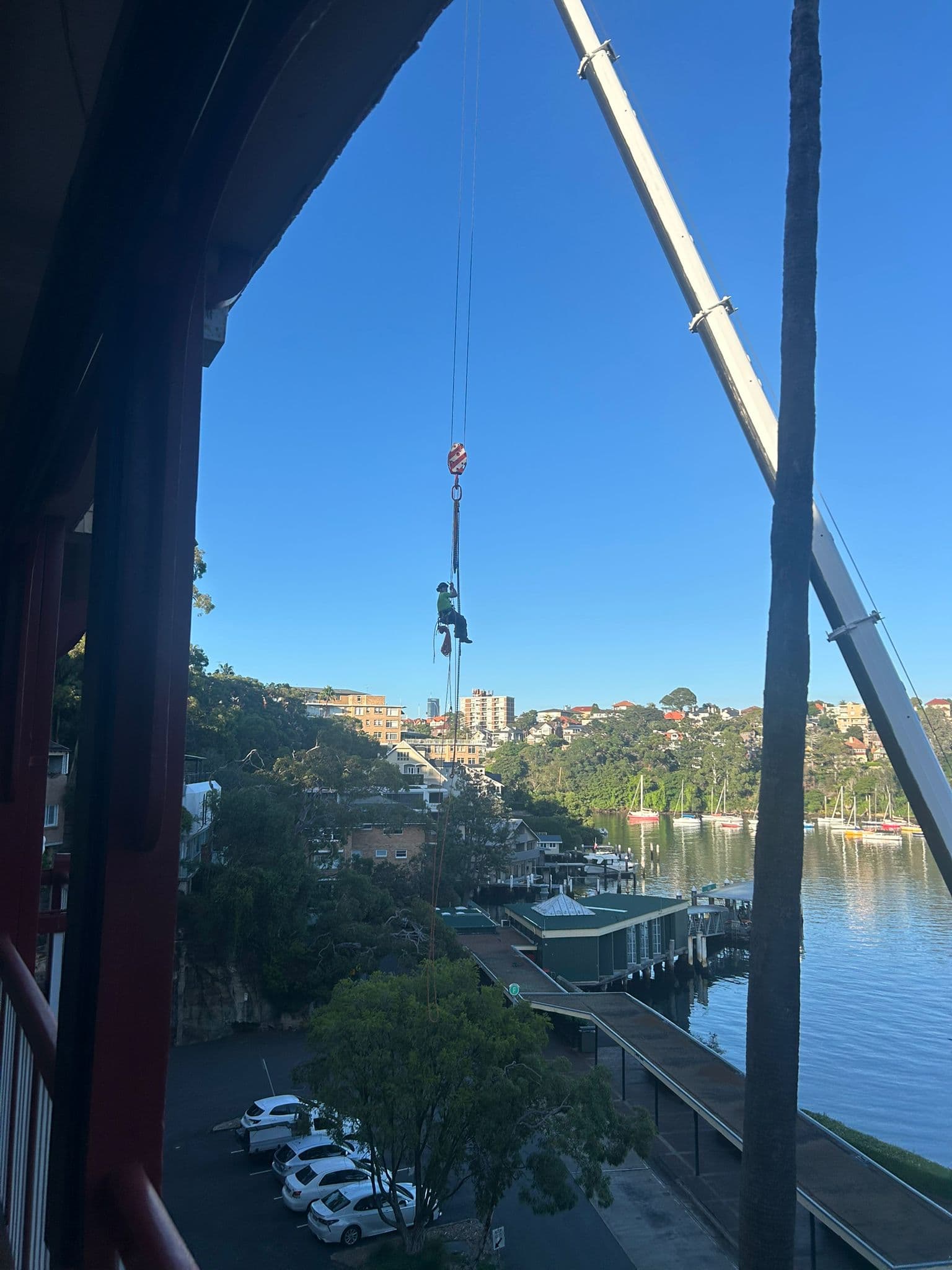 Crane-assisted palm removal beside a waterfront road