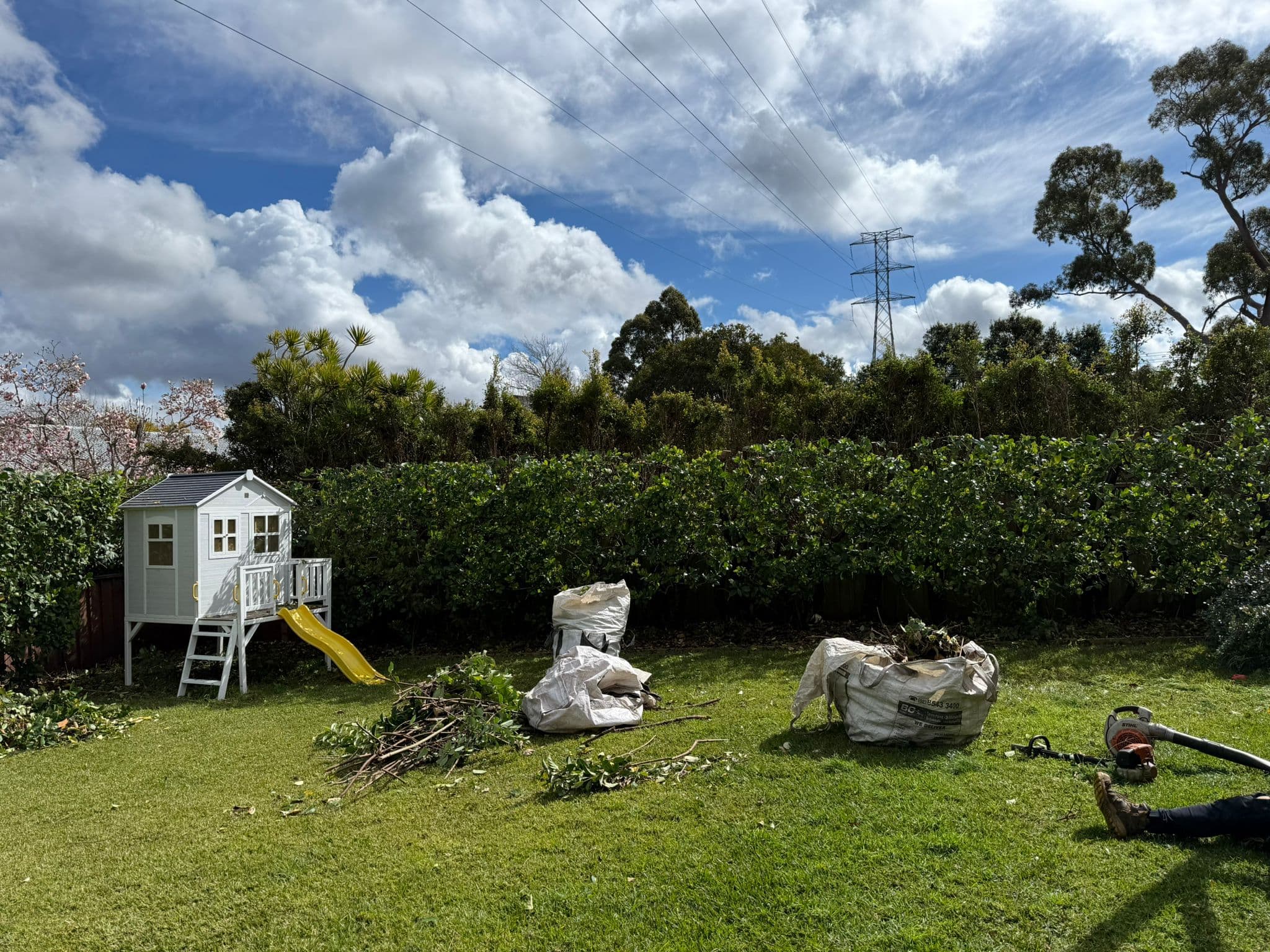Trimmed hedge and garden pruning work beside a home