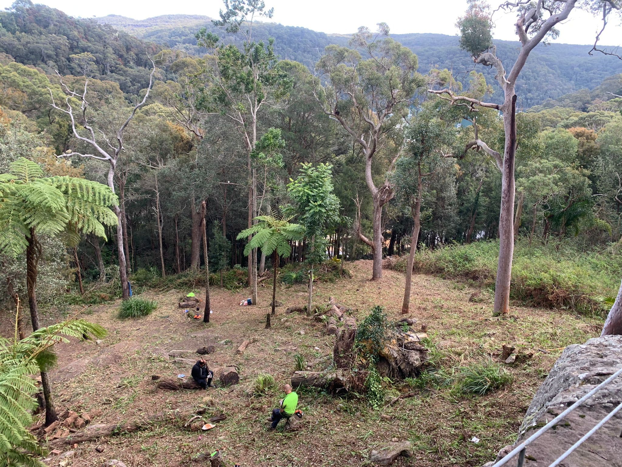 Bush block cleared with tree stumps and open ground visible