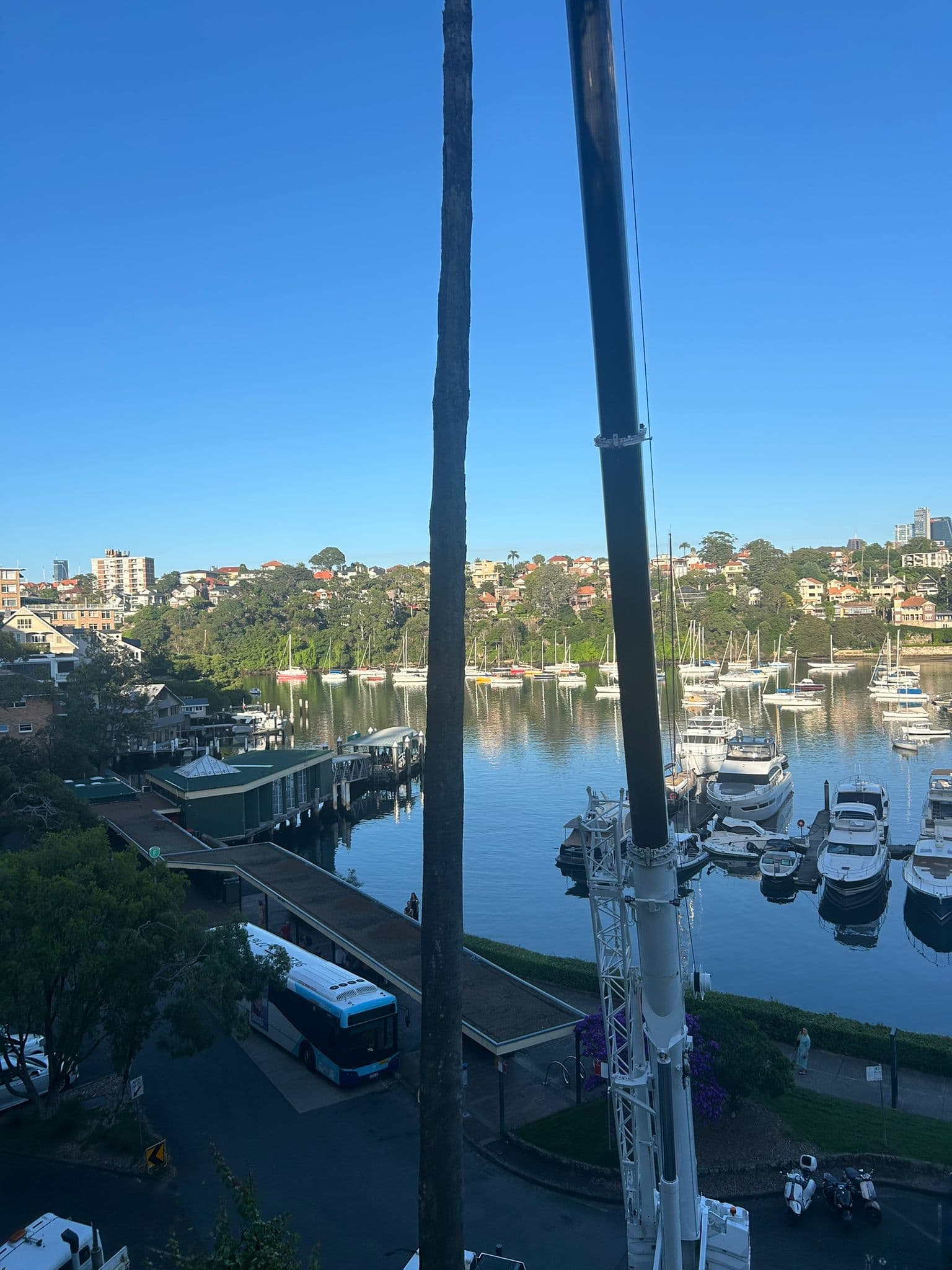 Crane boom set up above a waterfront tree removal site