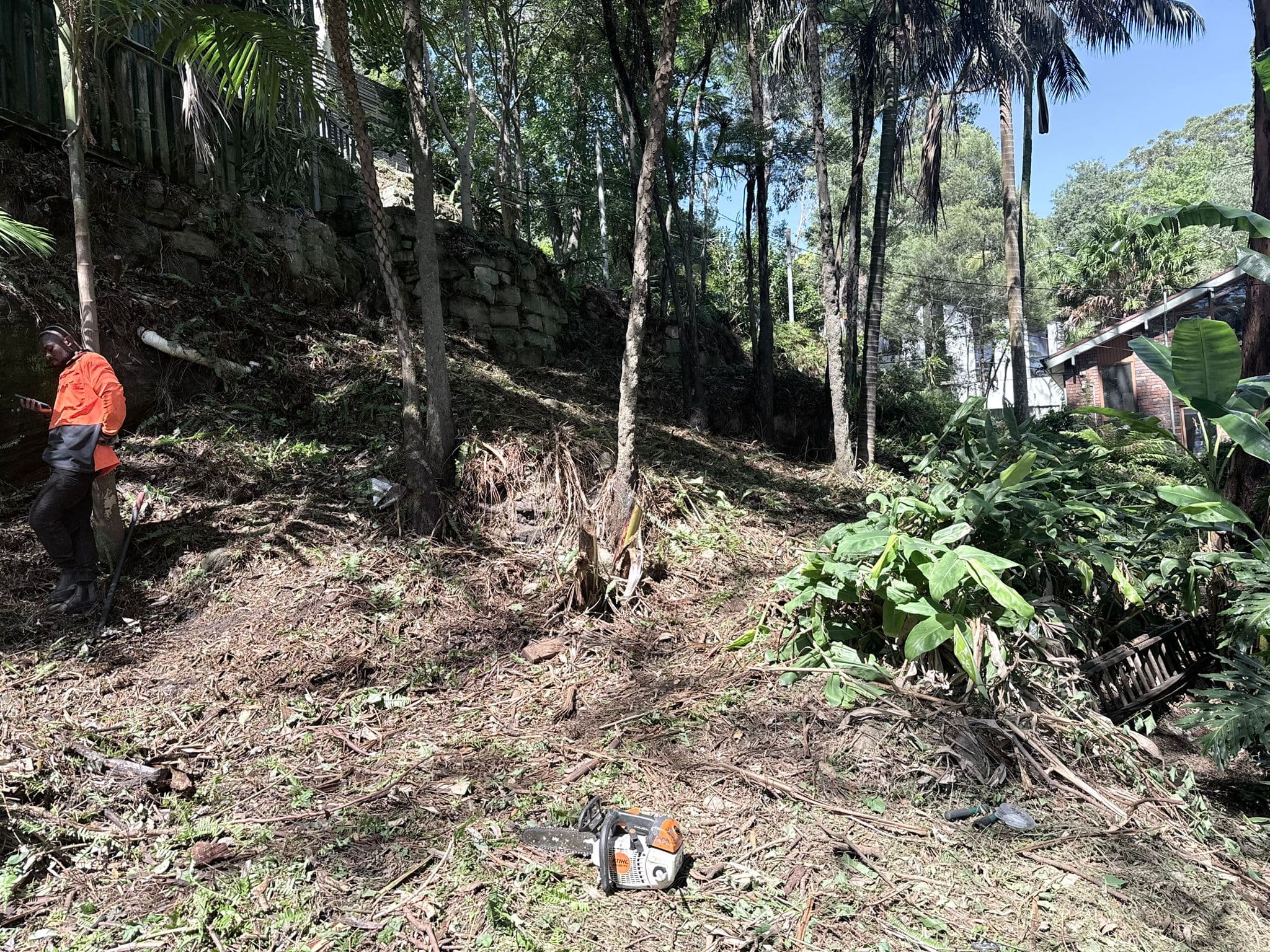 Bushland clearing with open access through the block