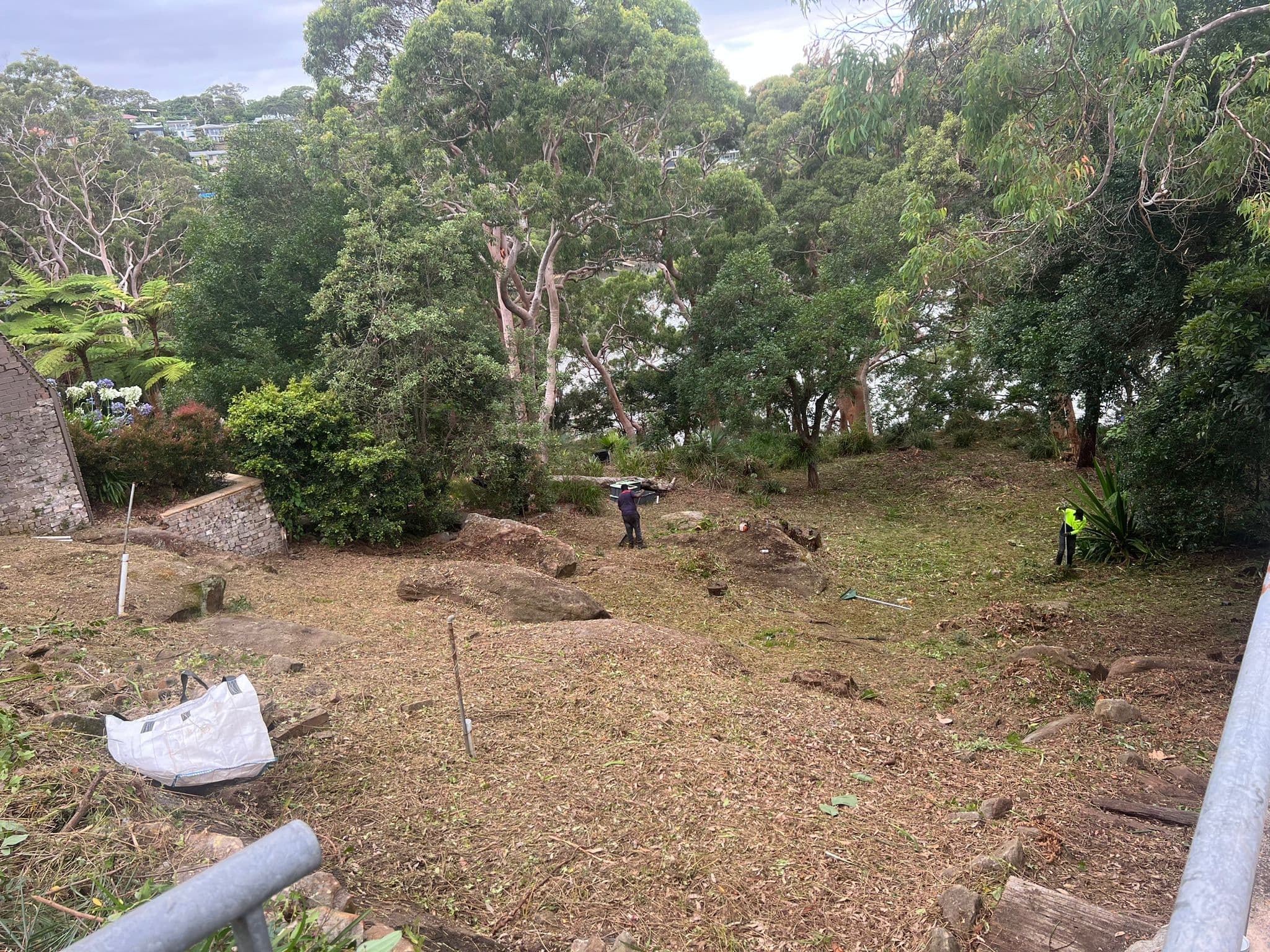 Cleared garden area after vegetation removal