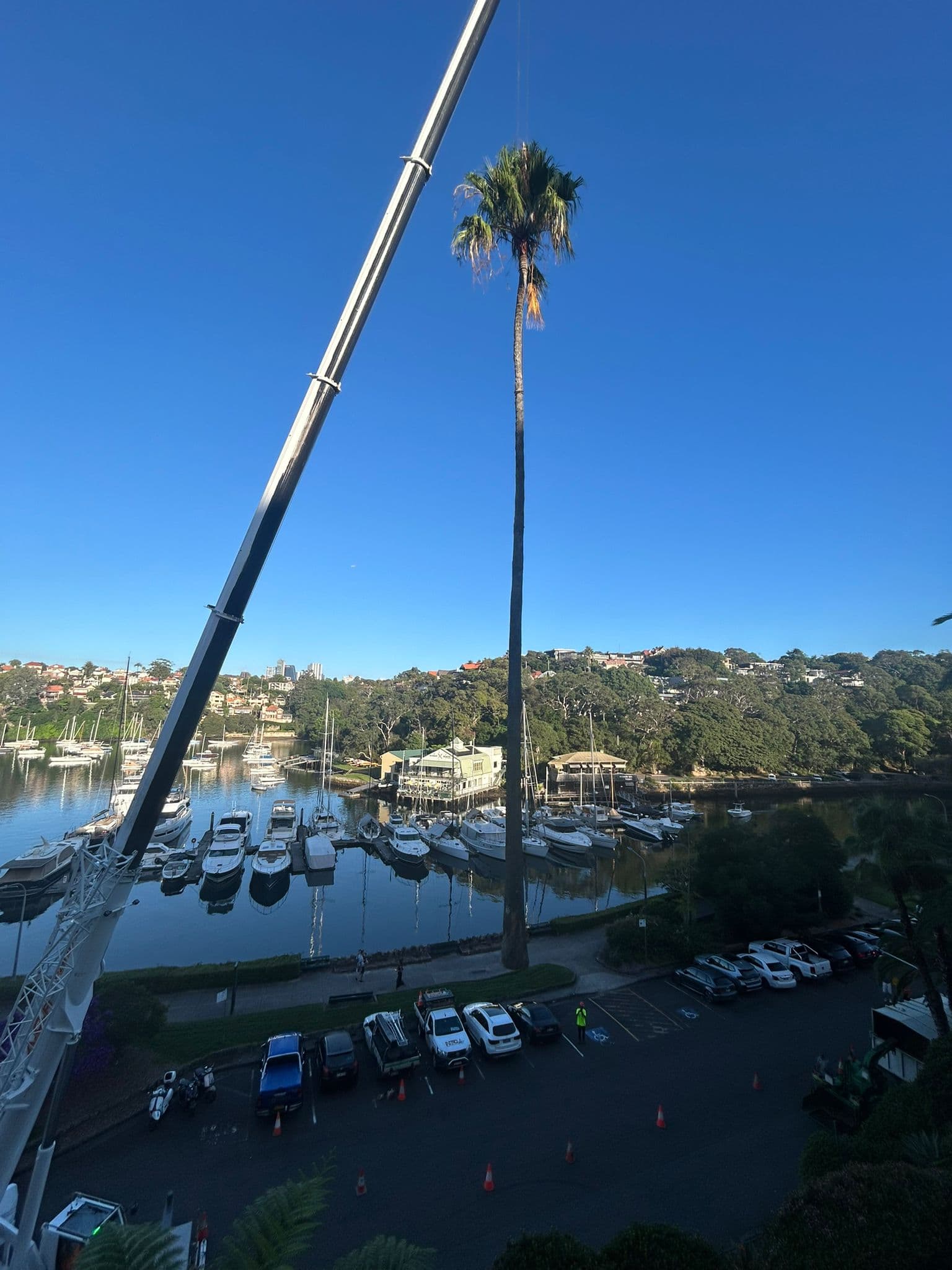 Crane extended over a waterfront tree work site