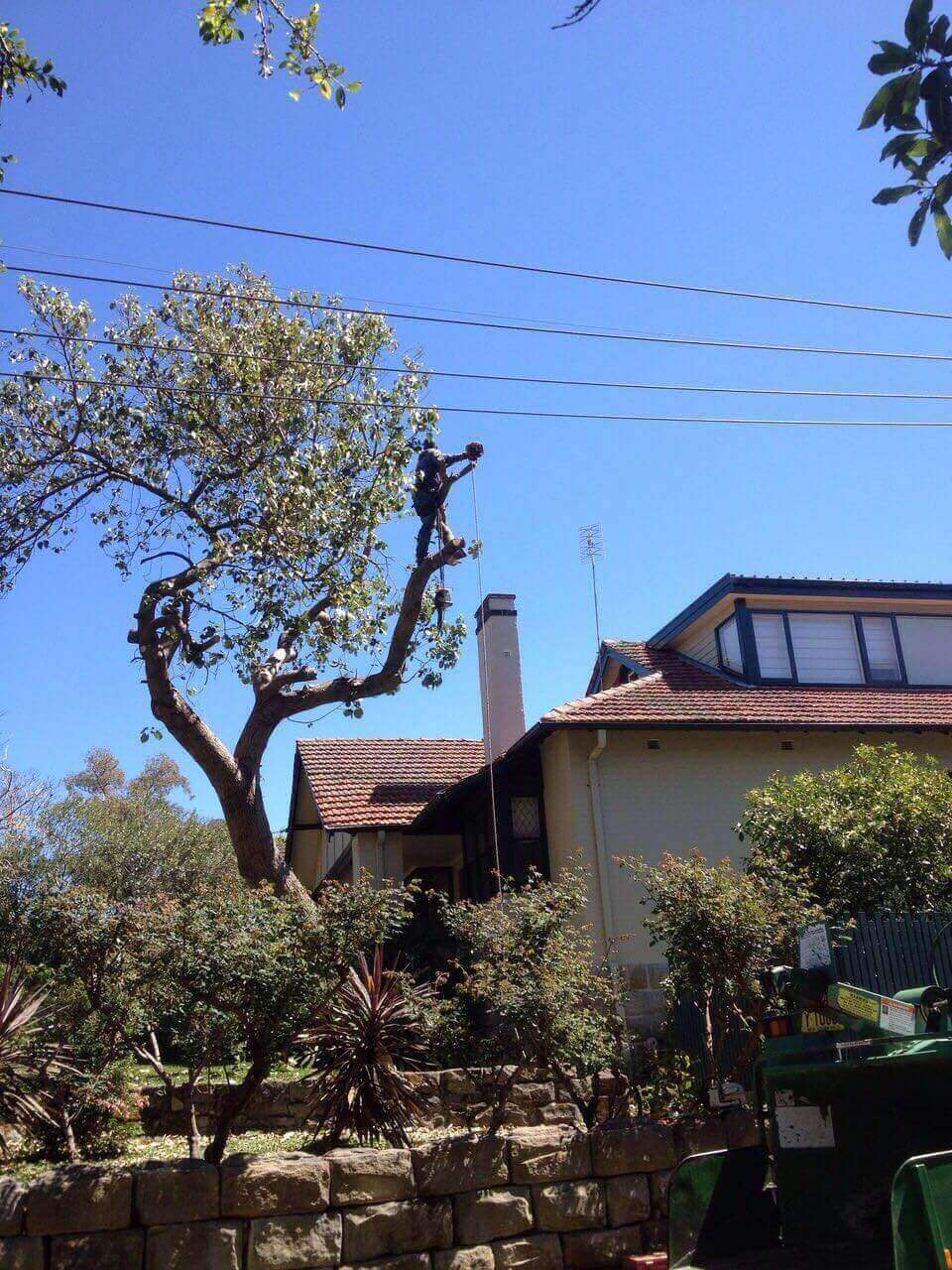 Tree pruning work beside a residential roof