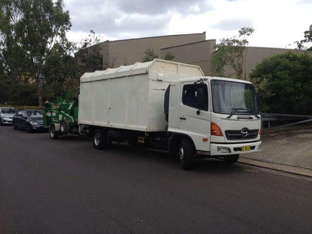 Land clearing project showcasing professional tree management - Northern Beaches Tree Services Project 15