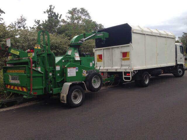 Tree crown reduction and shaping for improved aesthetics - Northern Beaches Tree Services Project 16