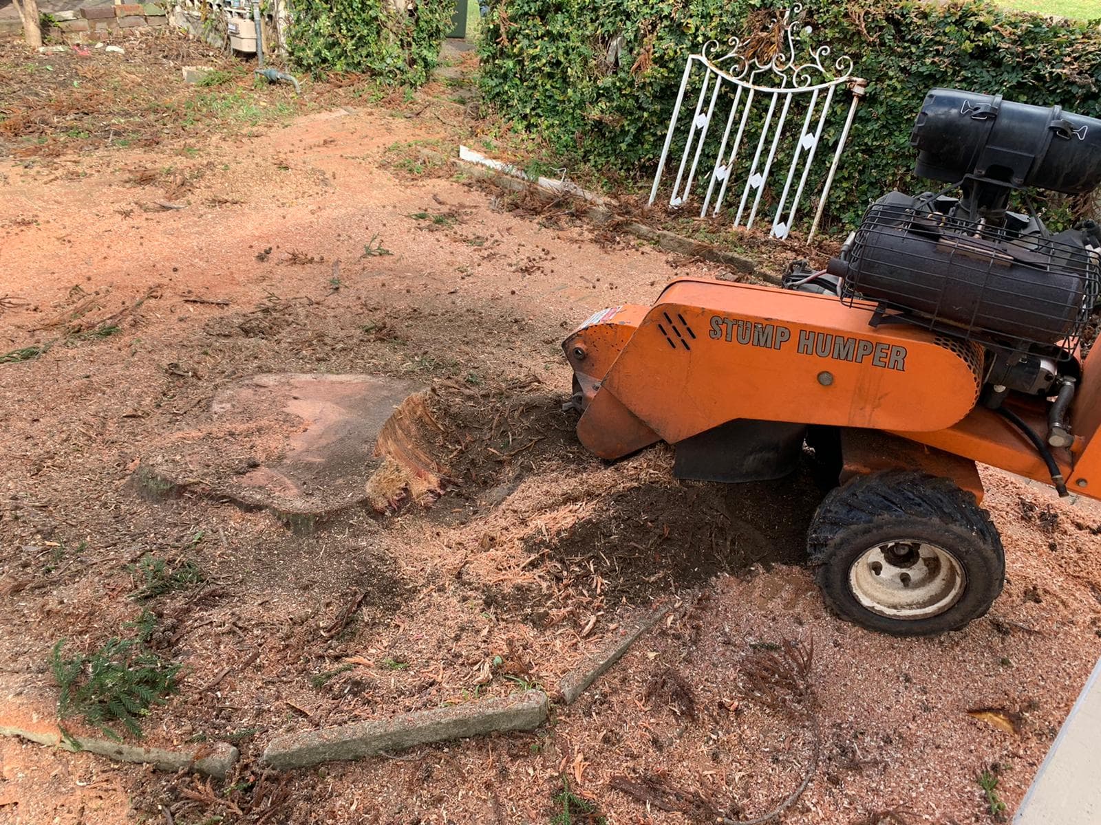 stump grinding