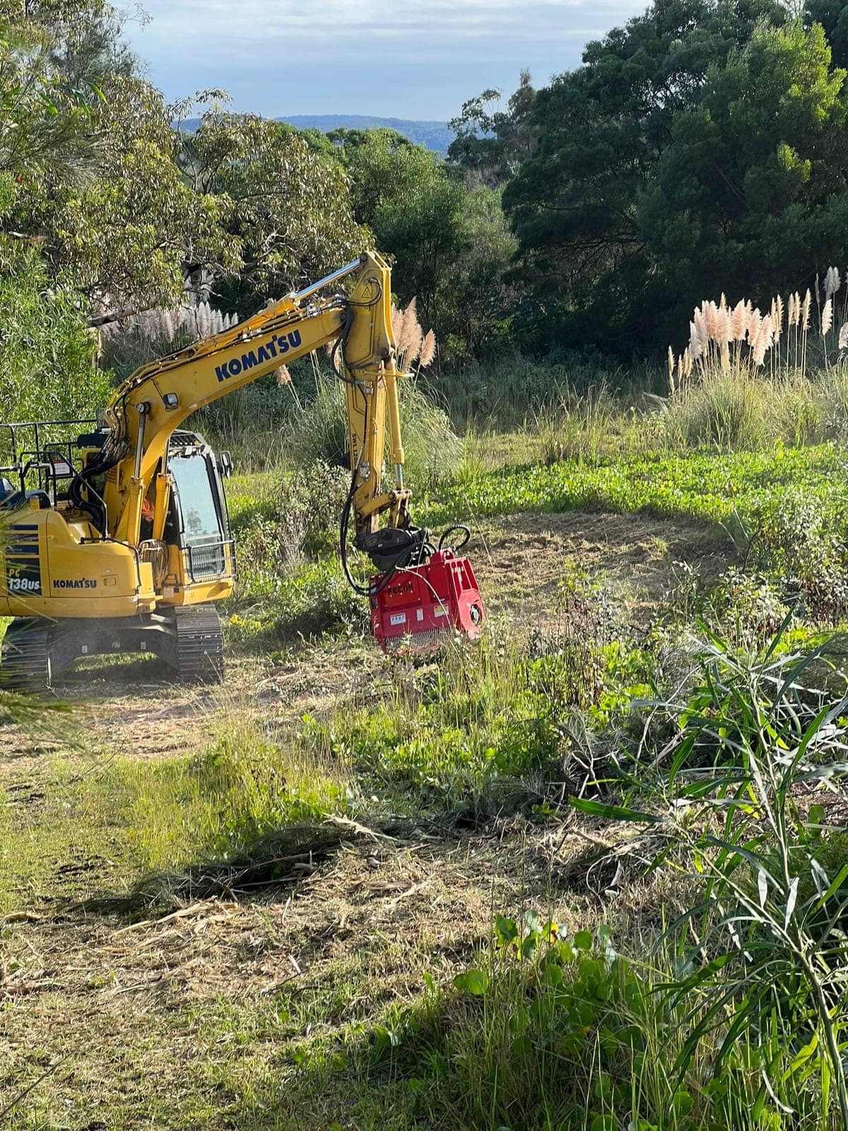 An excavator with a mulching head clearing pampas grass and scrub on a large Ingleside block