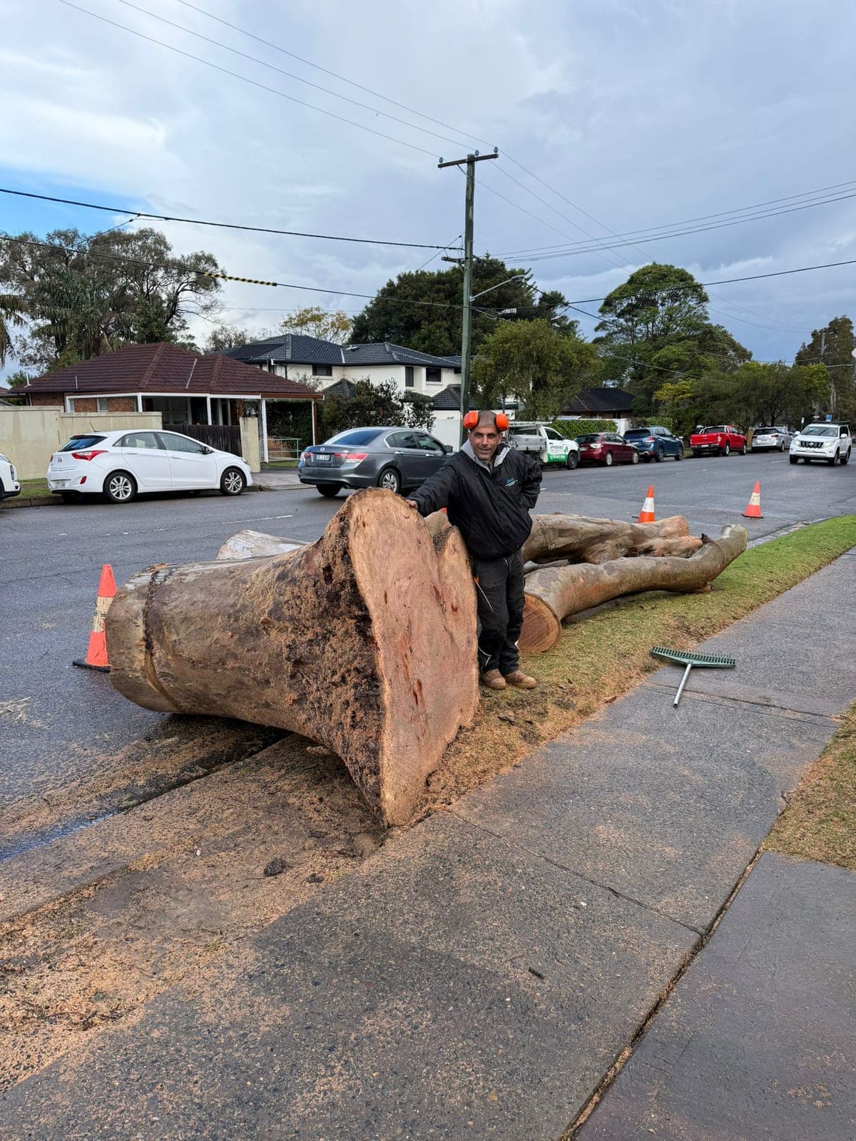Sam, the owner, standing beside a large cut trunk on a Manly street after a removal