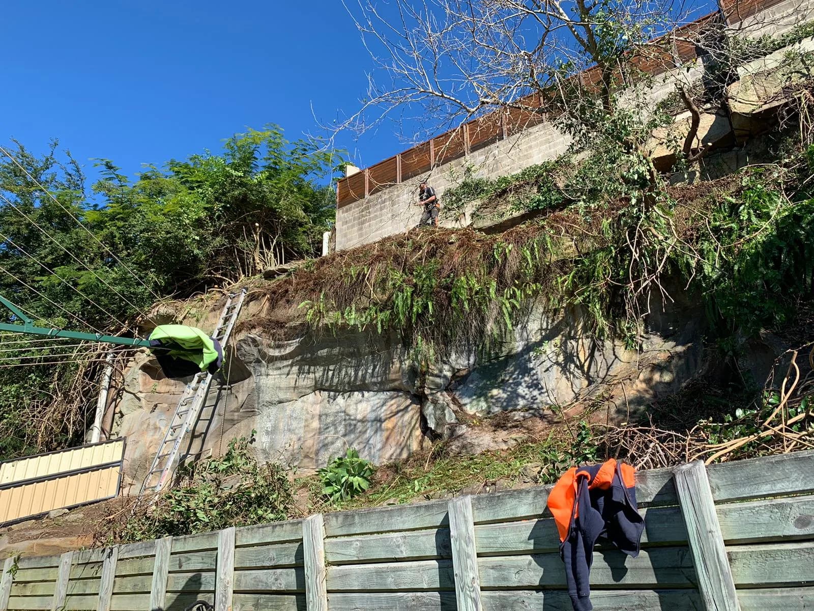 Beacon Hill residential block after selective land-clearing work