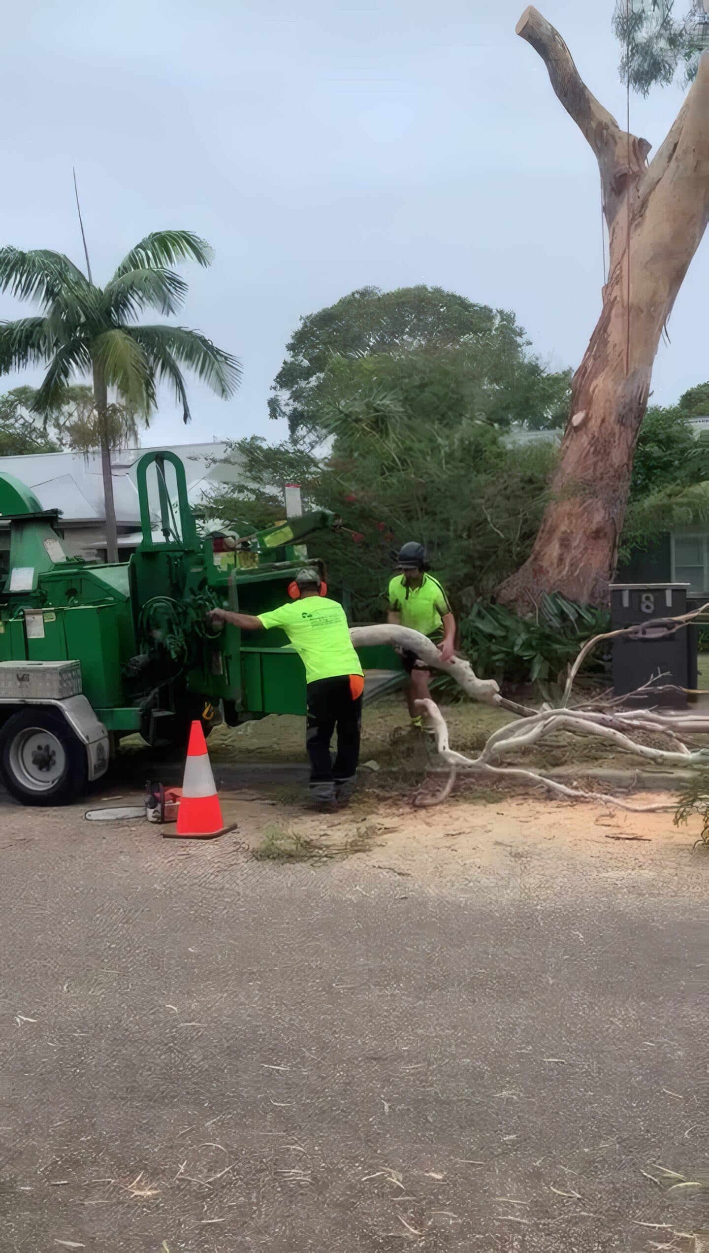 Crew feeding branches into a chipper on the street beside the Bilgola Plateau job