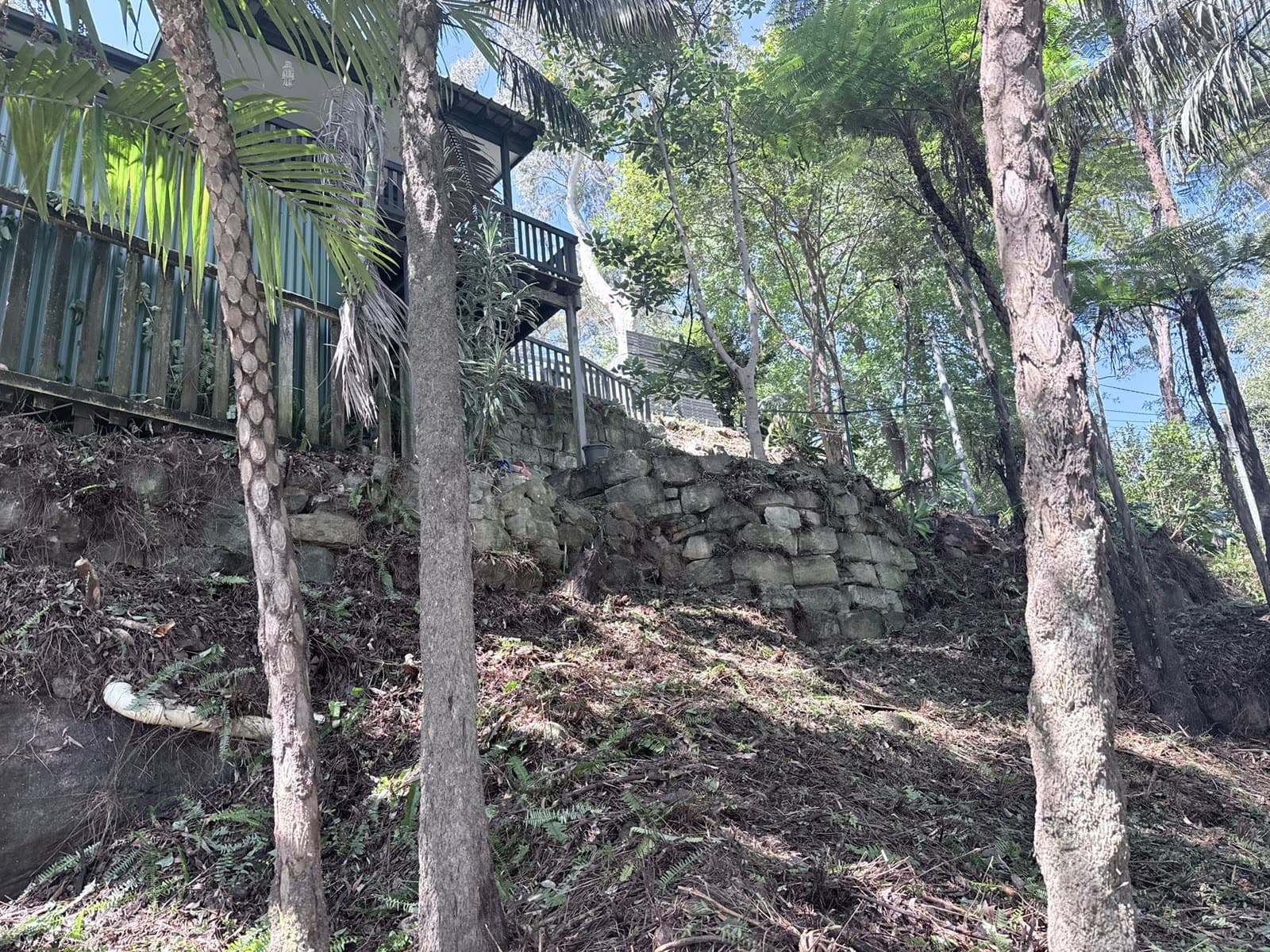 Cleared vegetation and access path on an Ingleside bush block