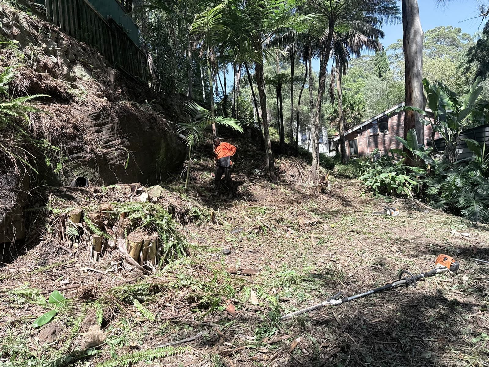 Bush-block clearing result with dense vegetation reduced in Ingleside