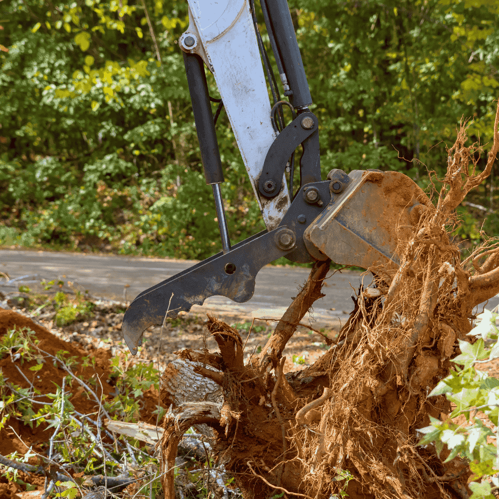 Professional Professional Land Clearing Services in the Northern Beaches - Land Clearing Service Northern Beaches in Sydney's Northern Beaches