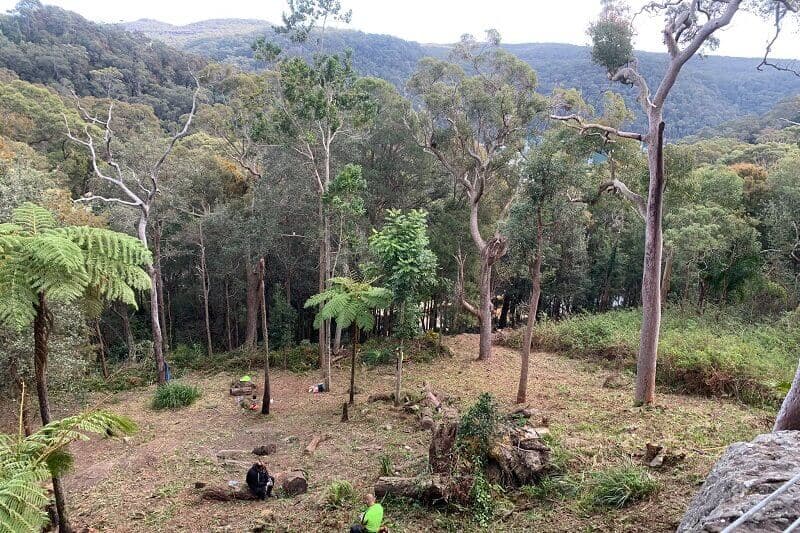 Professional land clearing and site preparation service