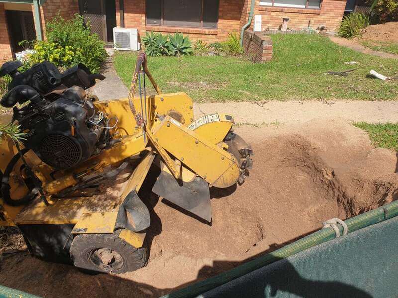 Professional Expert Stump Grinding Services in the Northern Beaches - Root Removal Northern Beaches in Sydney's Northern Beaches