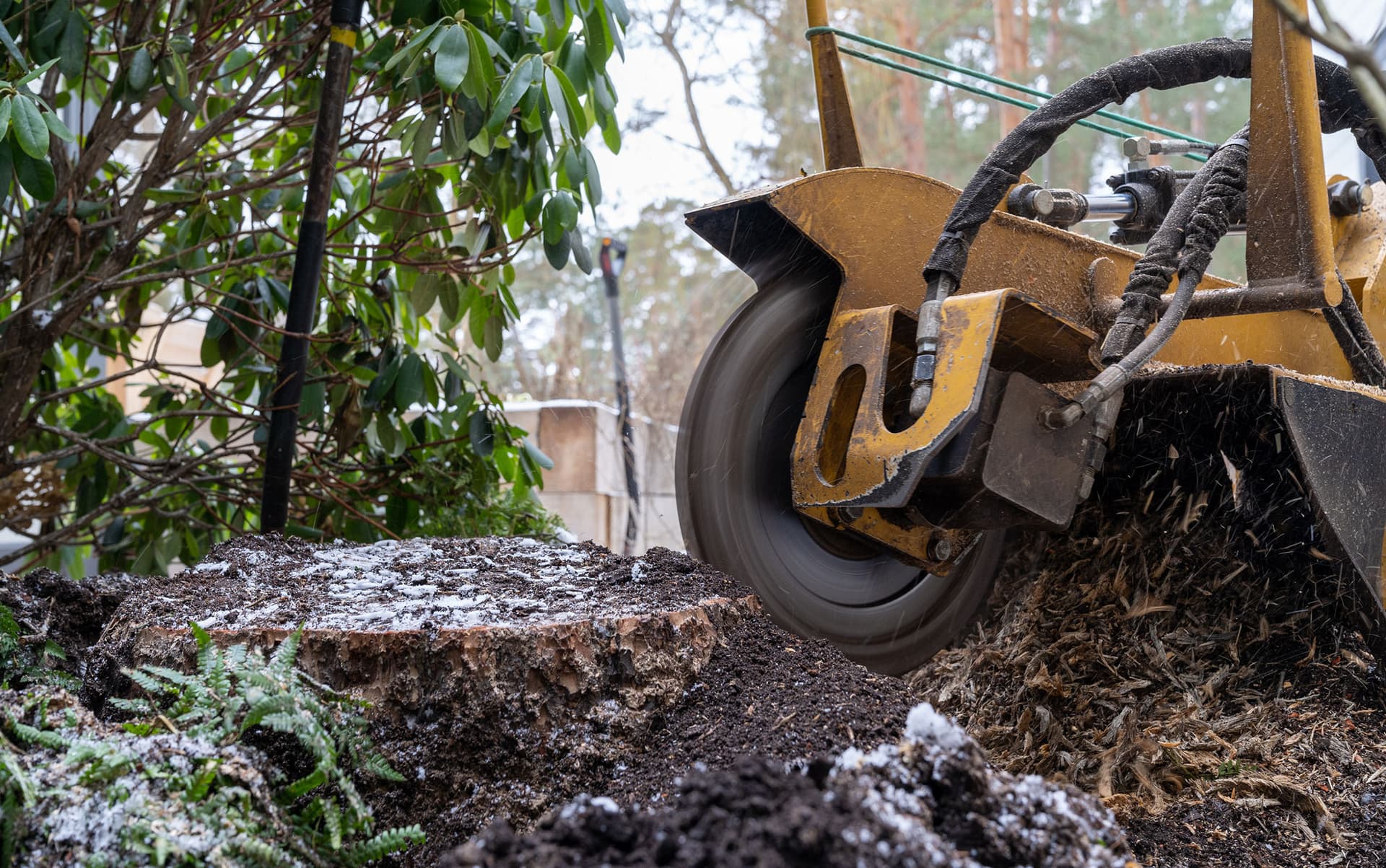 Stump grinding and removal service