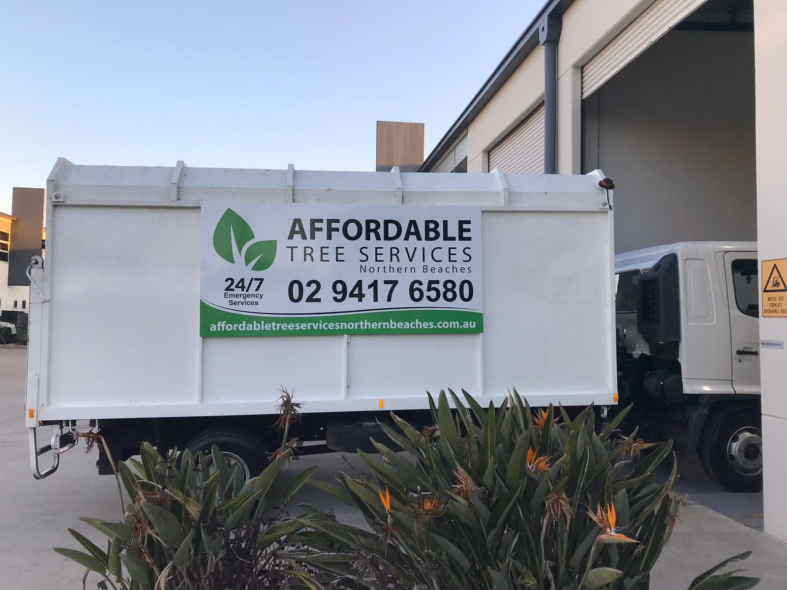 Professional stump grinding project by Affordable Tree Services Northern Beaches in Sydney's Northern Beaches - Project 21