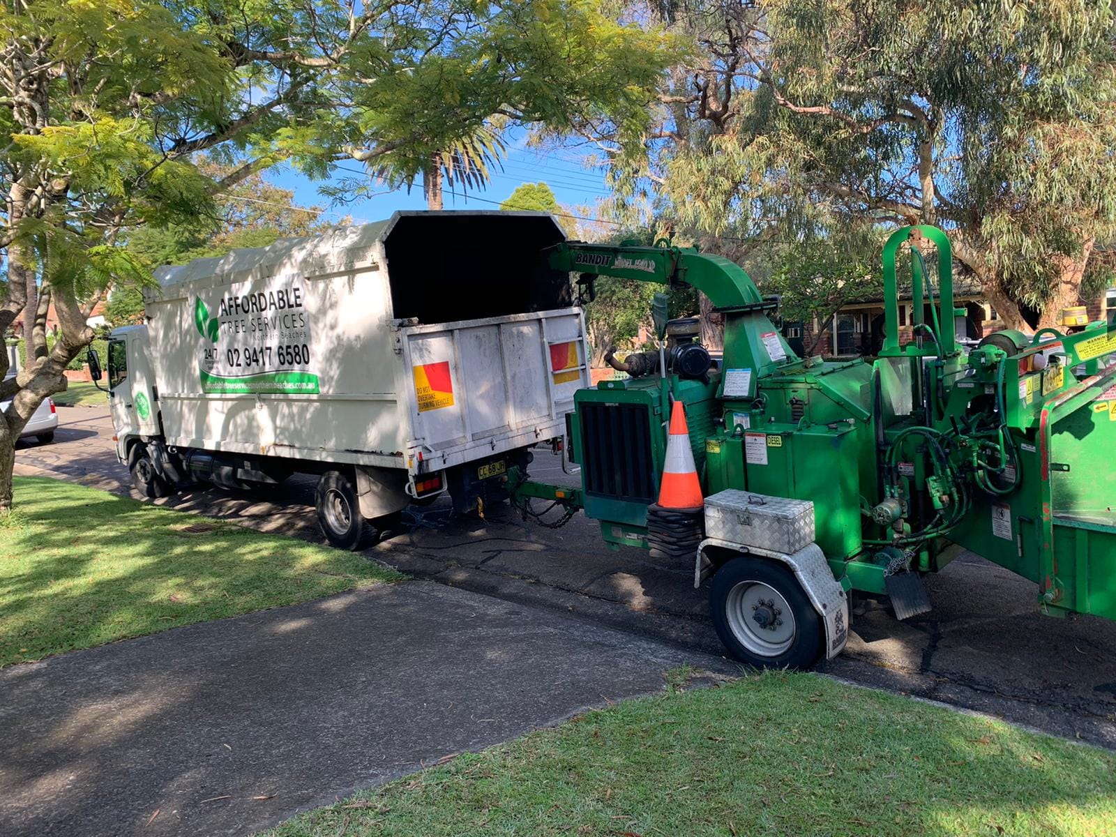 Professional land clearing project by Affordable Tree Services Northern Beaches in Sydney's Northern Beaches - Project 24