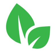Affordable Tree Services Northern Beaches