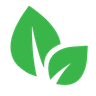 Affordable Tree Services Northern Beaches