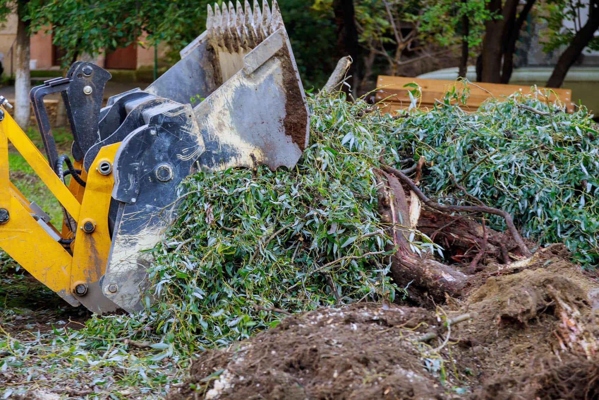 Professional land clearing equipment in action on Northern Beaches property