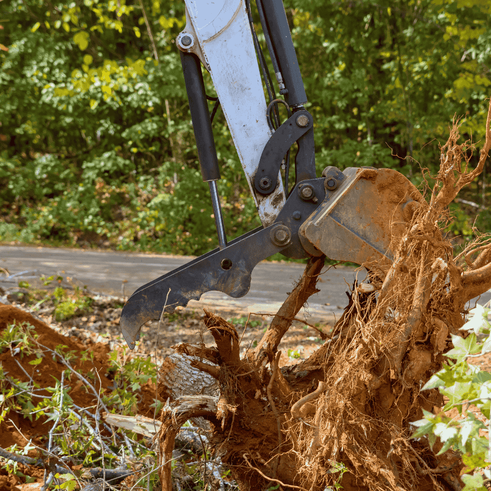 Residential Land Clearing