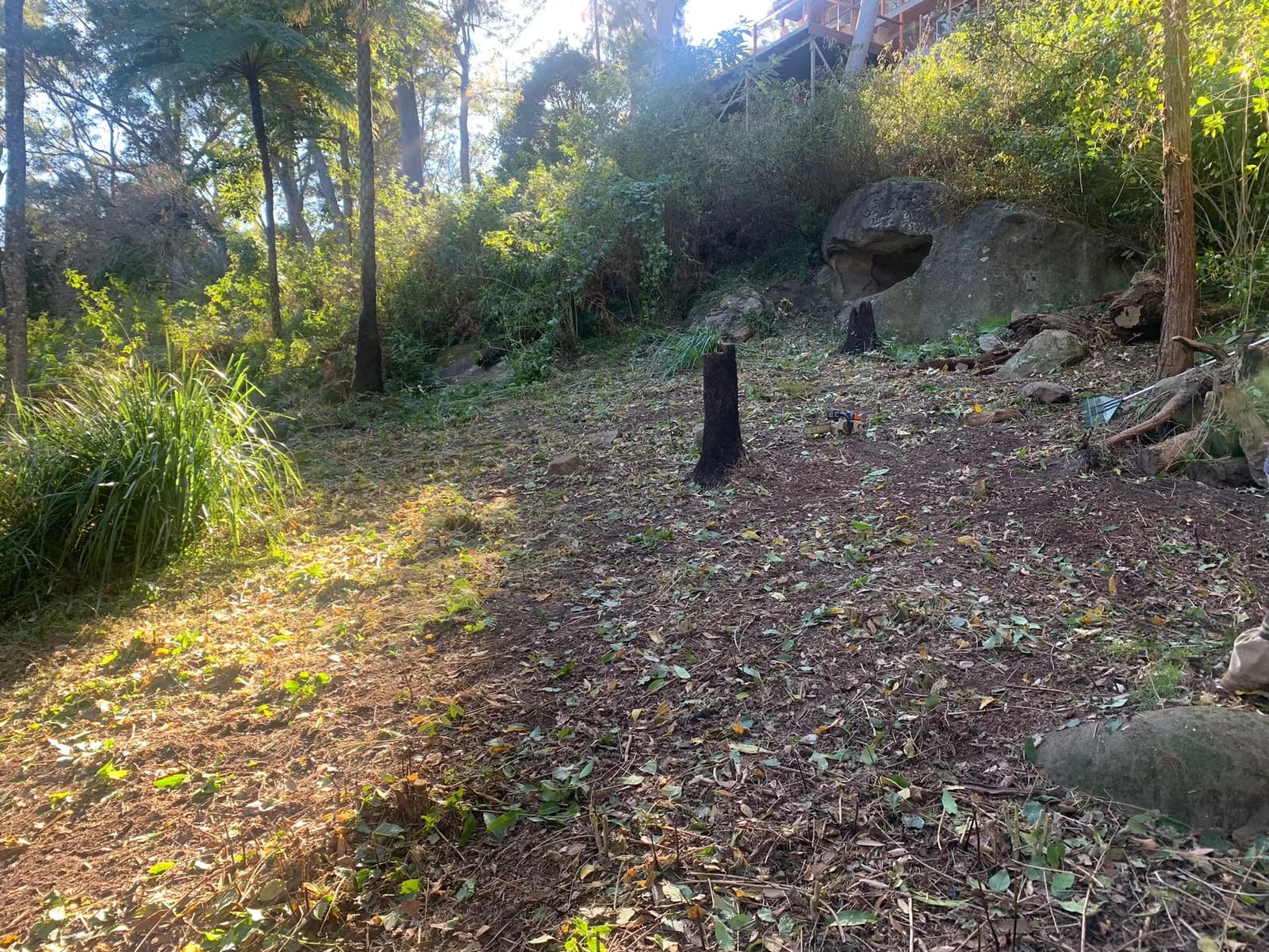 Mid-project Bayview clearing stage showing vegetation reduced across the site