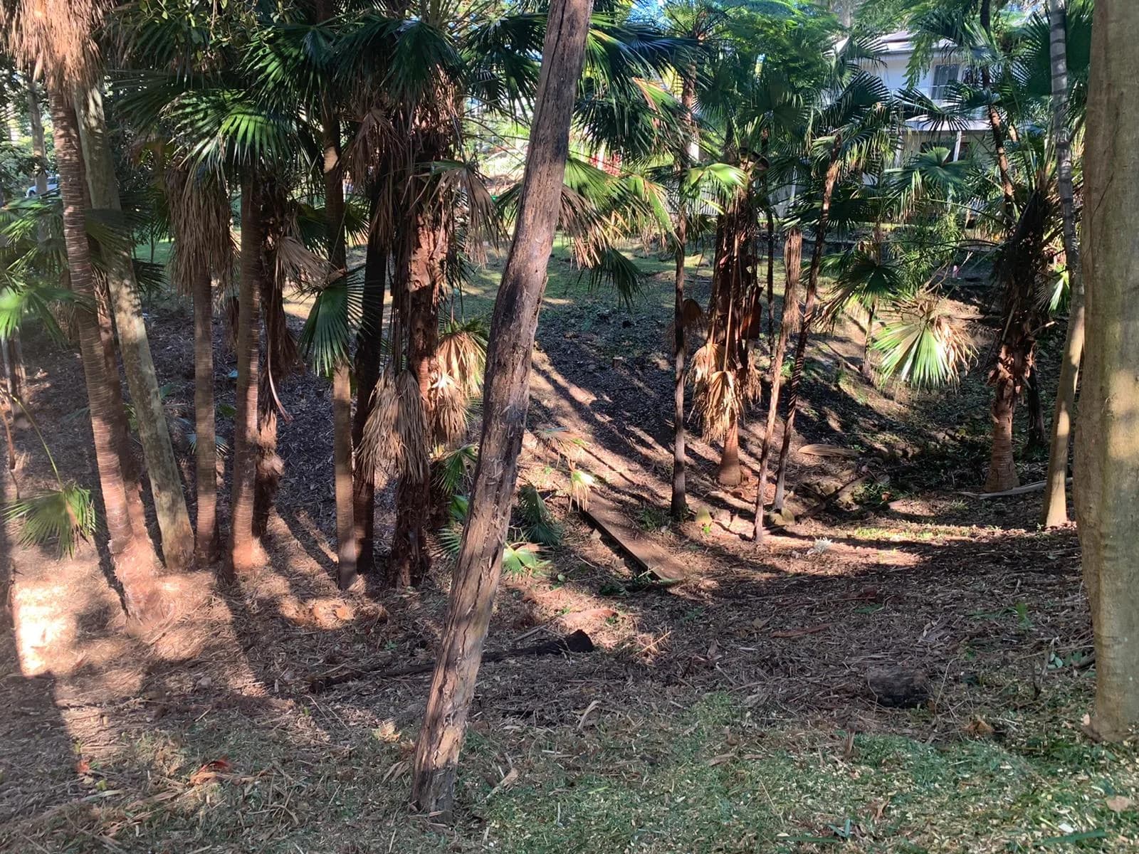 Cleared sloping Bayview block after staged land-clearing work