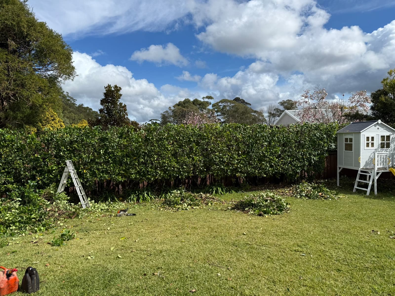Finished Davidson garden area after hedge and tree pruning