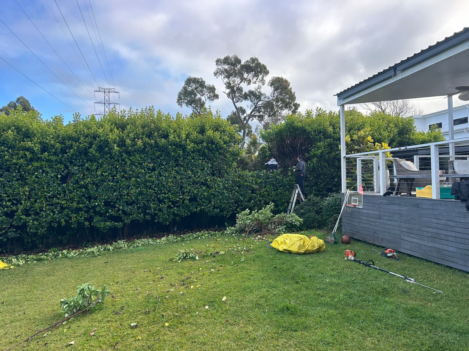 Davidson hedge and tree pruning cleanup at a residential property