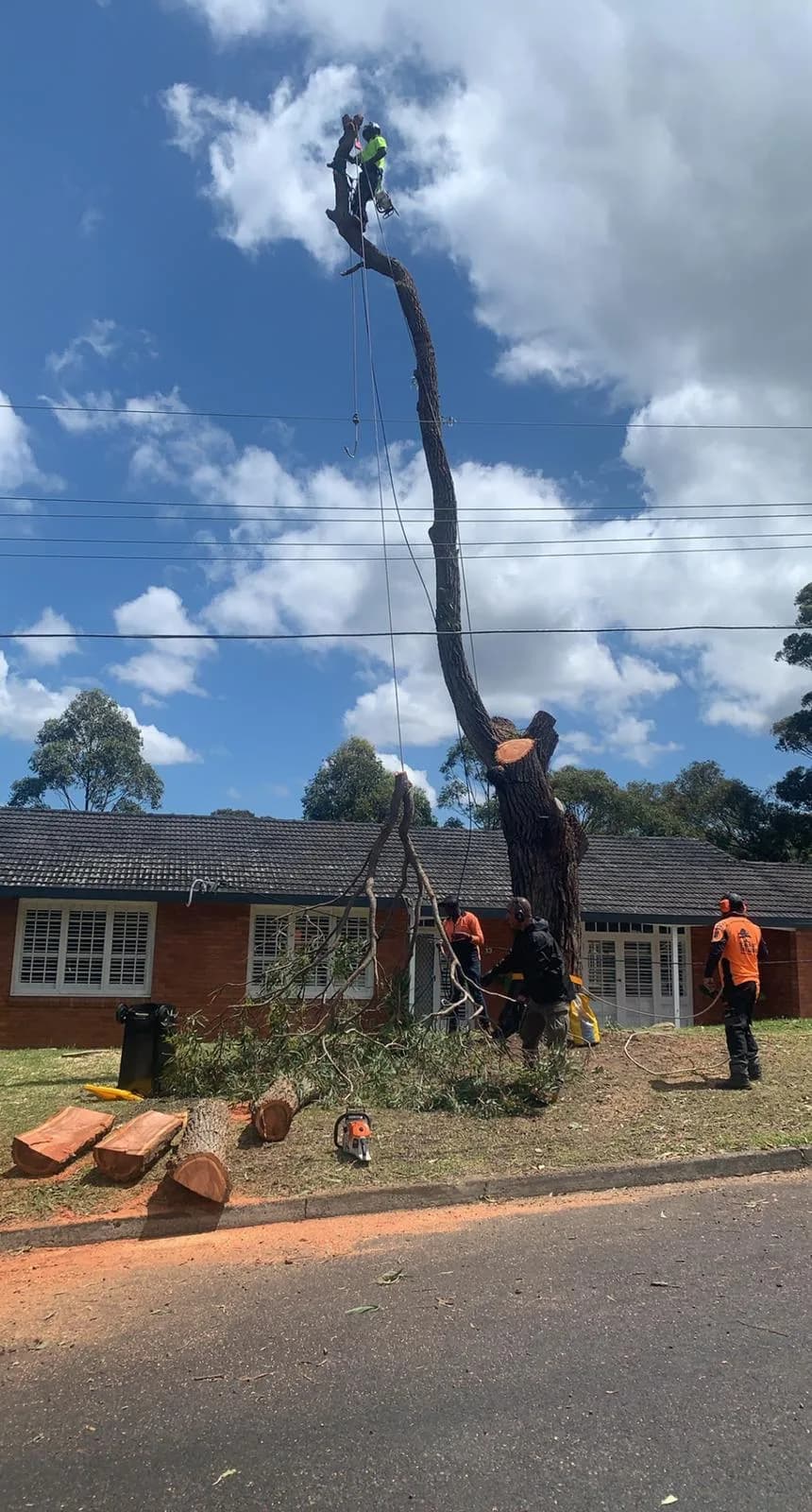 Alternate Frenchs Forest removal view showing dismantling near the dwelling