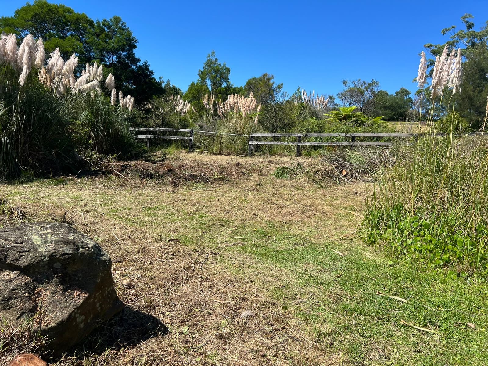 Cleared Ingleside land showing opened ground and vegetation reduction