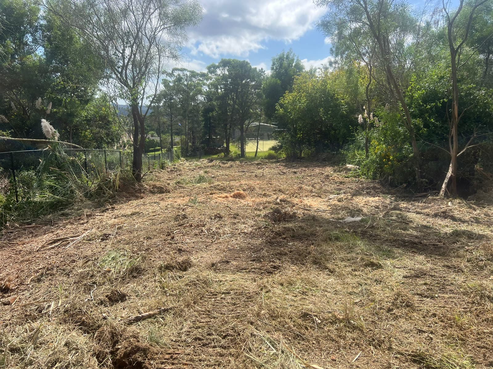 Wide Ingleside land-clearing view after the block was opened up