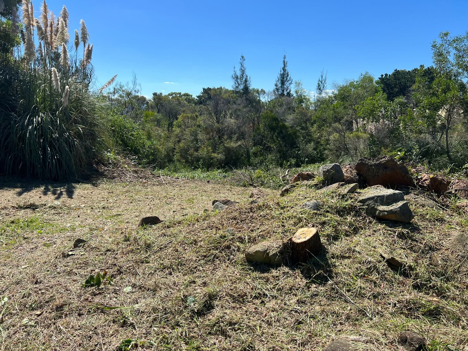 Large Ingleside block after land-clearing work