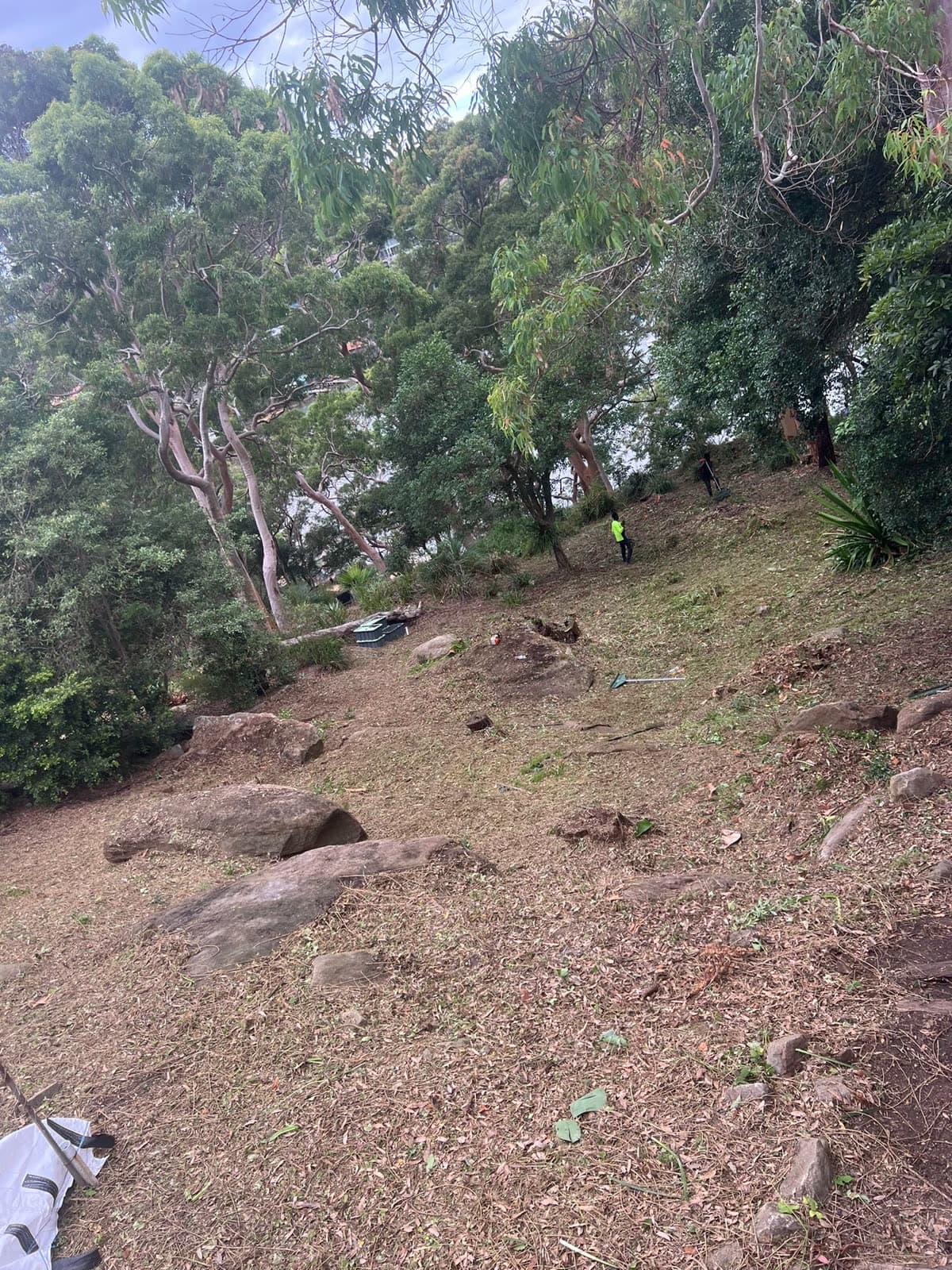 Alternate Longueville clearing angle with vegetation reduced