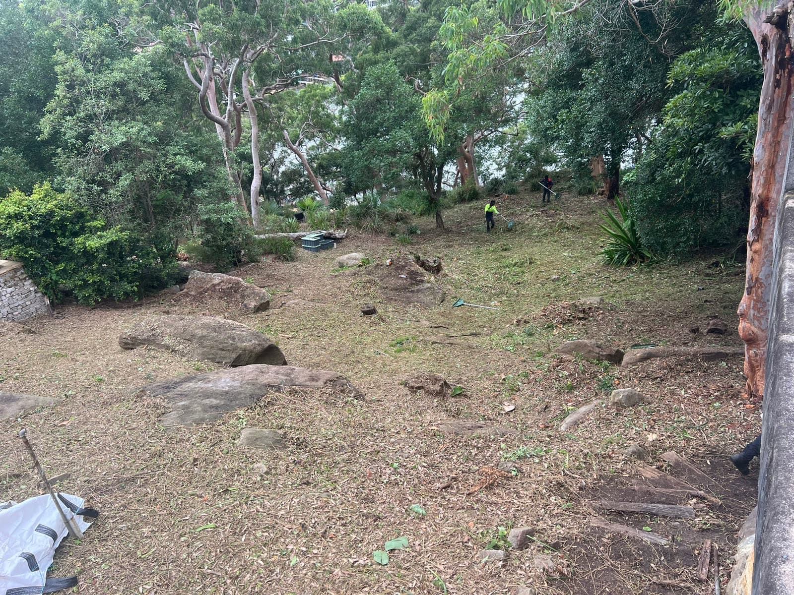 Longueville residential land-clearing result after vegetation reduction
