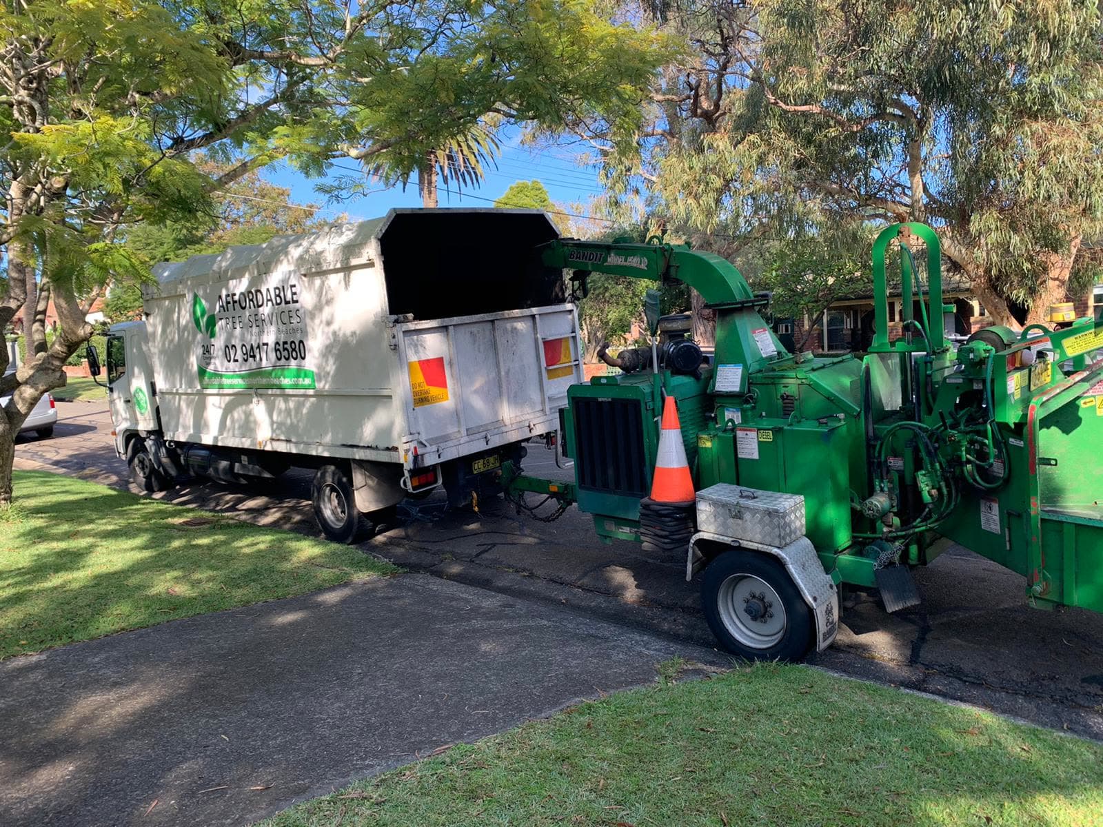 Willoughby tree-removal site after residential cleanup