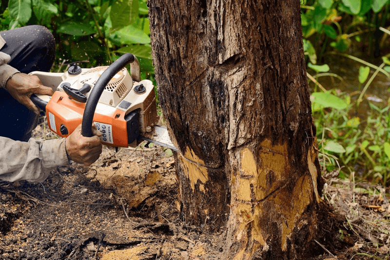 Professional Land Clearing