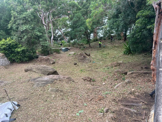 Longueville Land Clearing 4