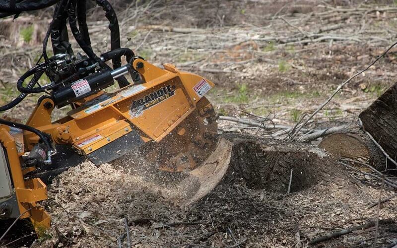Experts at Stump Grinding in Palm Beach