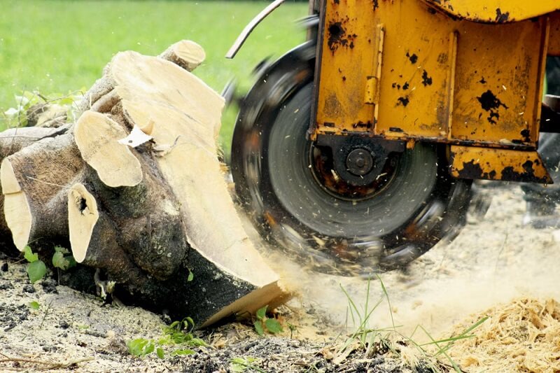 Stump Grinding Frenchs Forest
