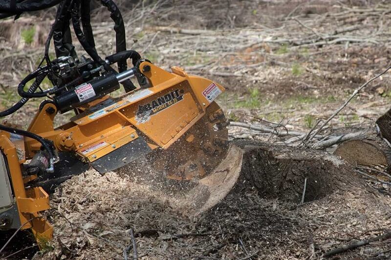 Affordable Stump Grinding North Manly