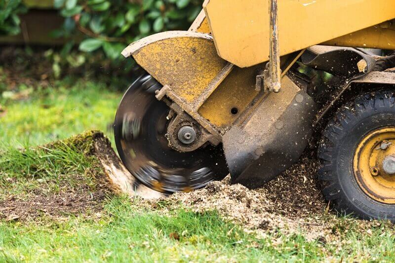 Stump Removal Process