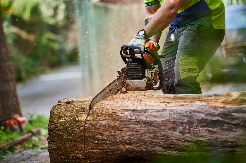 Tree Lopping Techniques